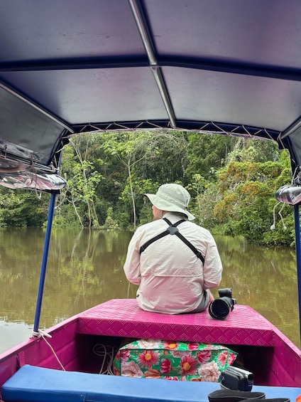 Picture 10 for Activity Birdwatching Day Tours in the Iquitos region 5