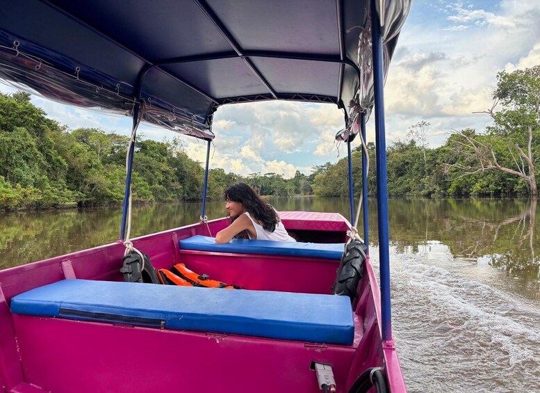 Picture 9 for Activity Birdwatching Day Tours in the Iquitos region 3
