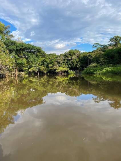 Picture 4 for Activity Birdwatching Day Tours in the Iquitos region 2