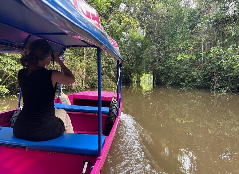 Birdwatching Day Tours in the Iquitos region 5
