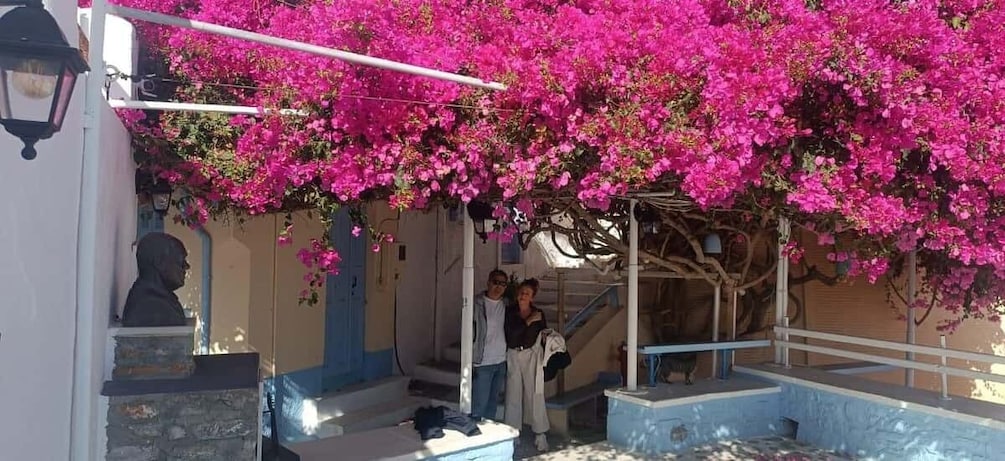 Picture 5 for Activity Syros Half-Day Experience: Kini, Ermoupoli & Ano Syros 5