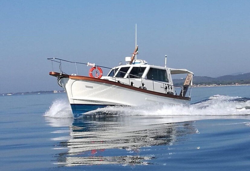 Scarlino: Boat tour to Cala Violina with snorkeling and aperitivo on board 1