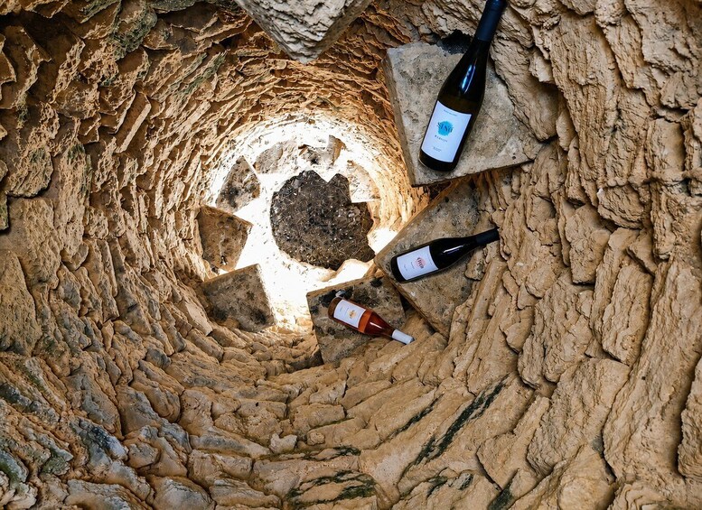 Palma: Can Morgan Winery Visit 1