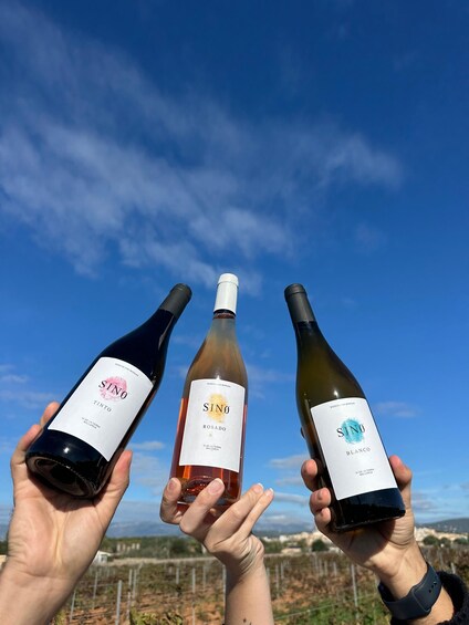 Picture 3 for Activity Palma: Can Morgan Winery Visit 2