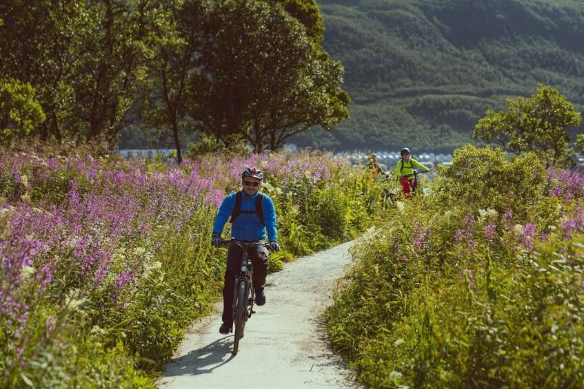 Picture 5 for Activity Tromsø: Explore Tromso by E-bike 3