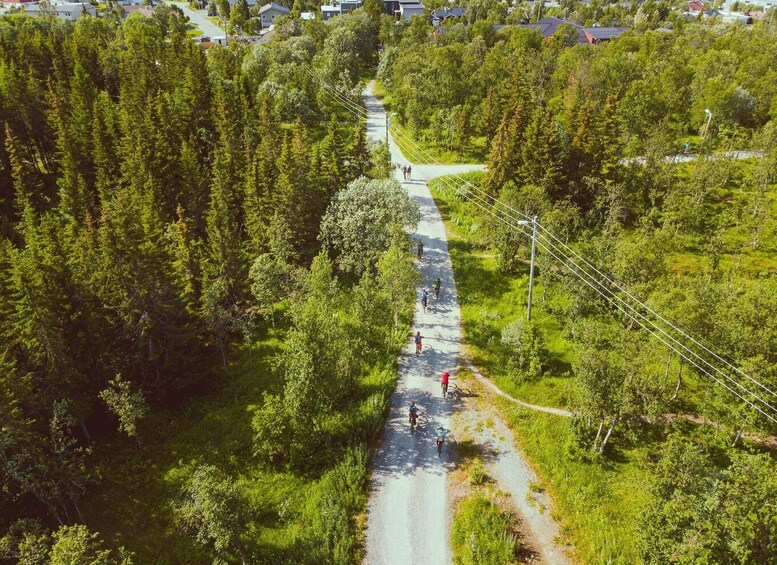 Picture 9 for Activity Tromsø: Explore Tromso by E-bike 2