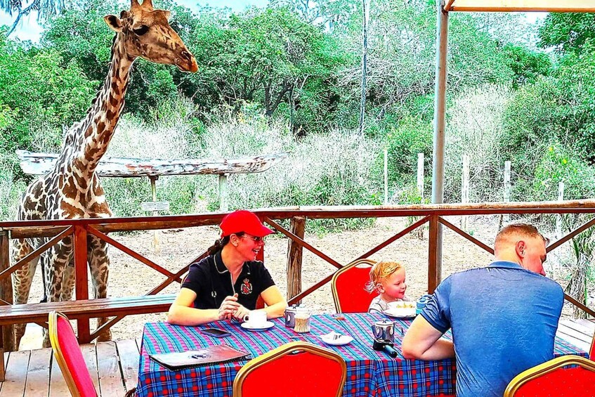 A giraffe, a wooden table, and people dining outdoors. 1