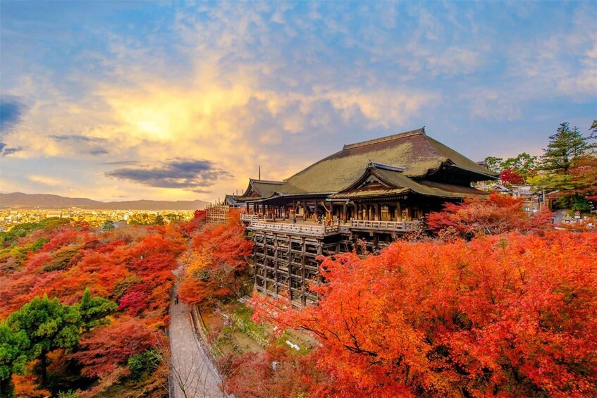 Picture 4 for Activity Kyoto: Kinkakuji, Kiyomizu & Fushimi Inari Tour- Anime Spots 3