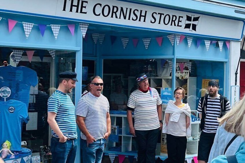 Private Tour of West Cornwall and Castles 5