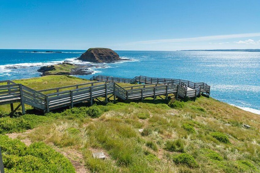 Phillip Island Penguins – Private Shore Tour from Melbourne 4