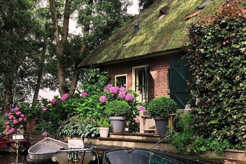 A house with a thatched roof, surrounded by lush greenery and pink hydrangeas. 5
