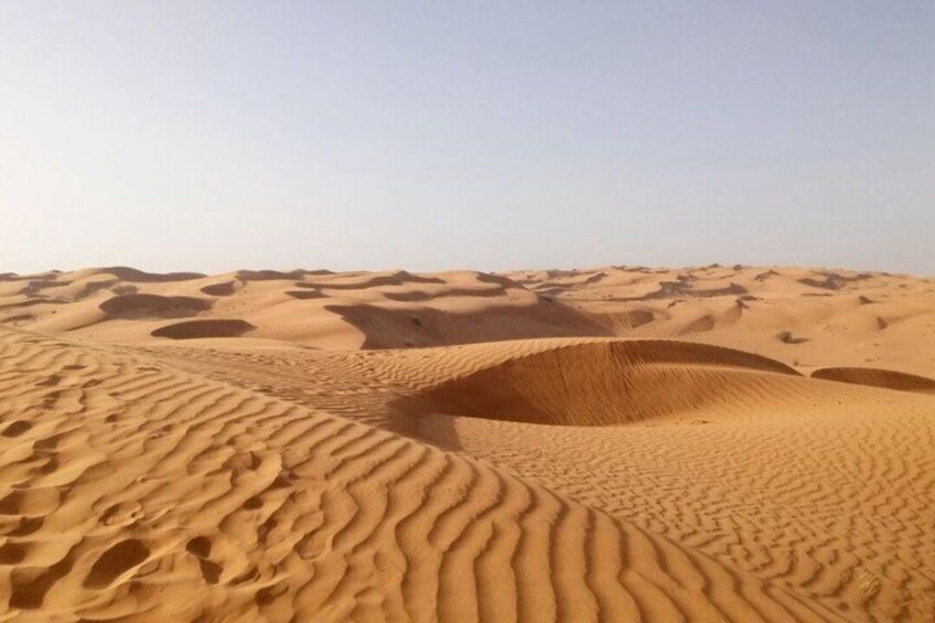 A desert landscape with sand dunes and tire tracks. 4