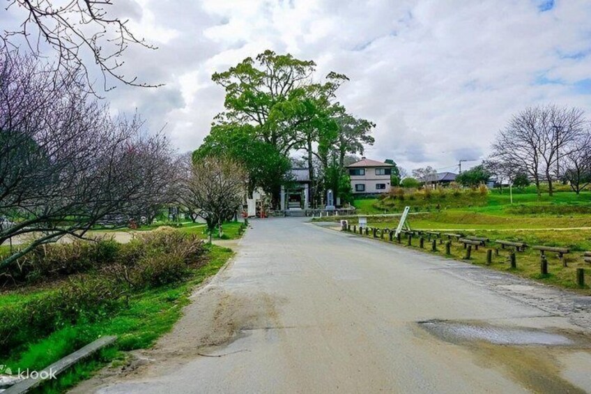 Fukuoka Sacred Sites Experience with Private AC Car and Guide 2