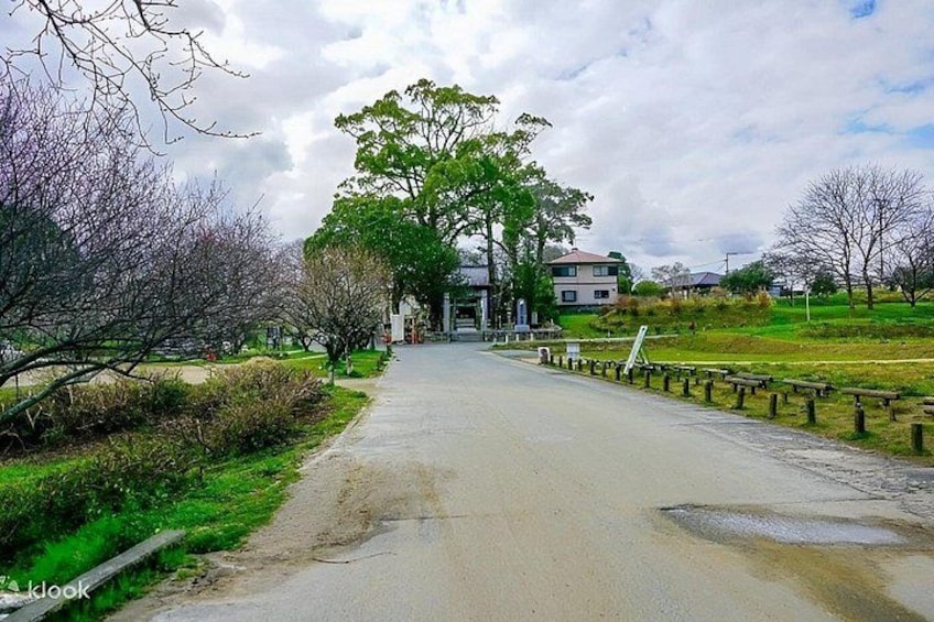 A paved pathway flanked by trees and grass, leading to a building with a red roof. 2