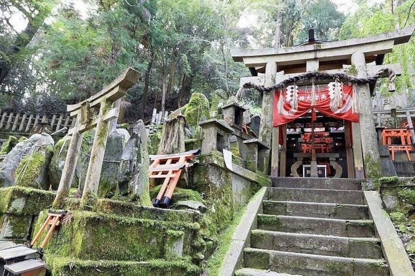 A traditional Japanese torii gate, moss-covered stone steps, and a red shrine entrance. 1