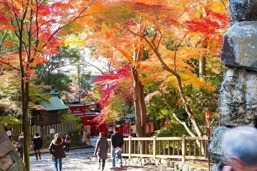 Historic Inuyama Castle and Town Tour from Nagoya by Car 5