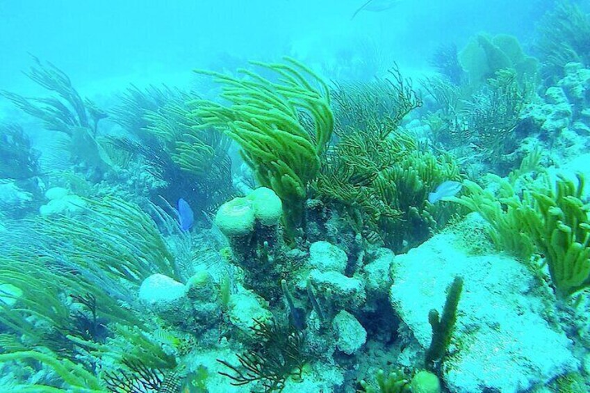 Culebra Island Private Boat Trip 3