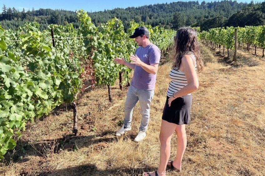 Willamette Valley Cult Pinot Noir Experience 4