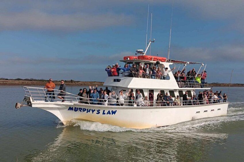 Early Bird Eco Tour and Dolphin Watch 3