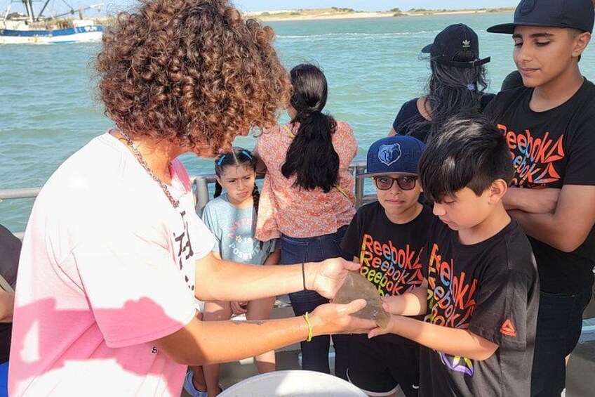 Early Bird Eco Tour and Dolphin Watch 4