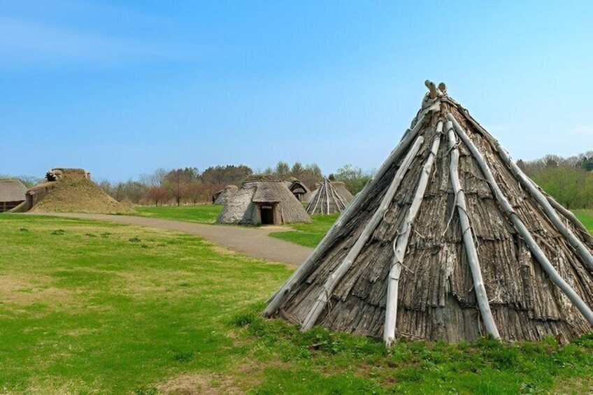 A traditional thatched-roof structure in a grassy field with other similar buildings in the background. 5