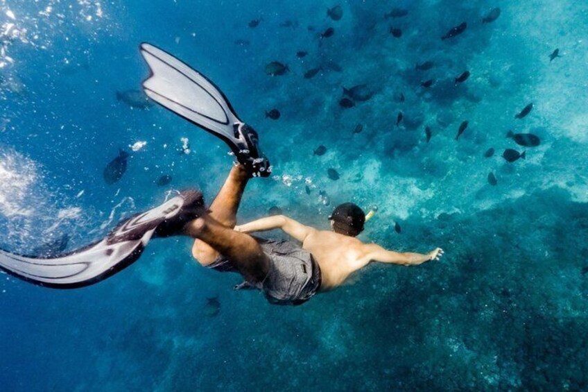 A person snorkeling in clear blue water with fins. 1