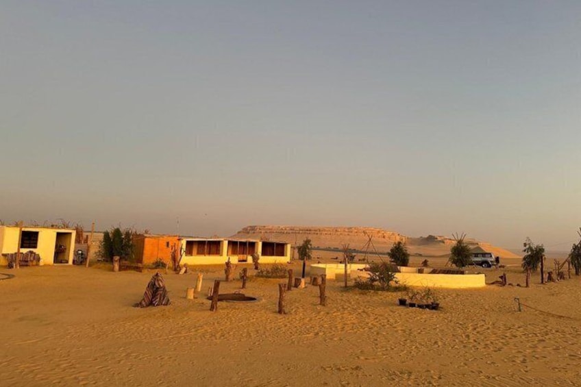 Fayoum Oasis Day Tour Wadi El Rayan, Magic Lake and Desert Safari 5