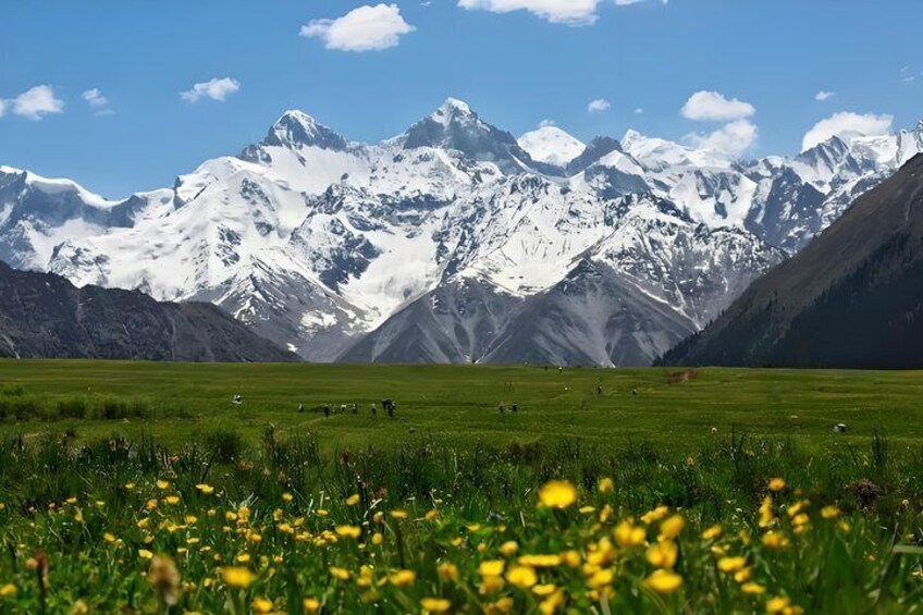 A mountain range with snow-capped peaks, a green meadow with yellow flowers, and a clear blue sky. 2