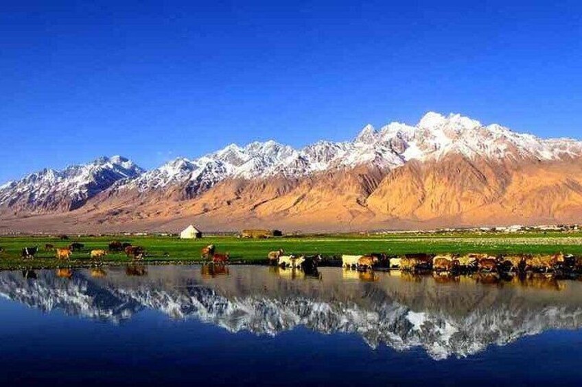 A mountain range with snow-capped peaks, a body of water reflecting the landscape, and a herd of cattle grazing in the foreground. 1