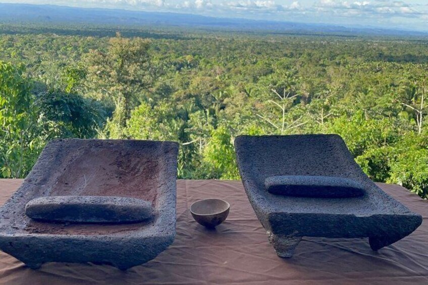 Rubber Tree Cacao Farm Tour Chocolate Making Experience 1