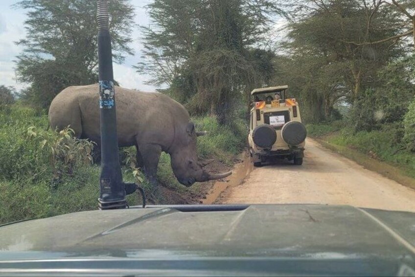 A road with a rhino and a safari vehicle. 2