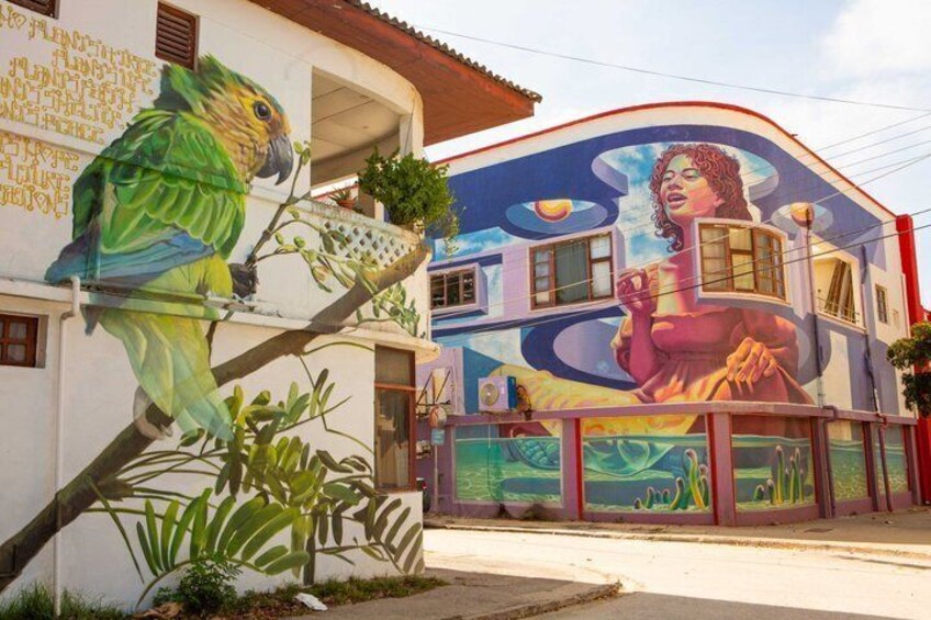 Aruba Street Art Food and Culture Tour 2