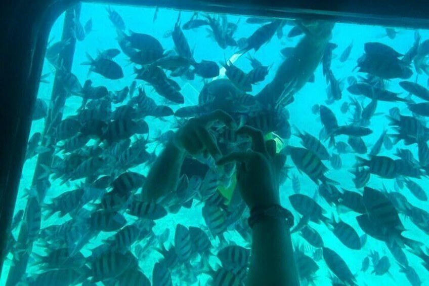 Ain Sokhna Red Sea Day Trip with Aqua Park Lunch and Transfers 2
