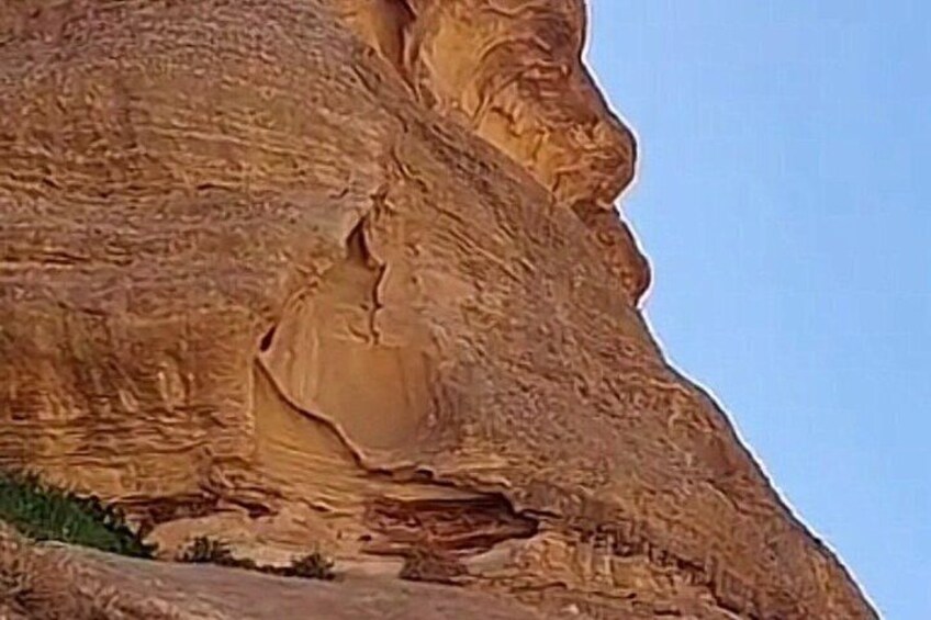 Private Tour from Aqaba with Treasury and Monastery Visit 4