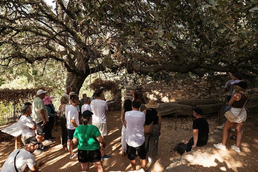 Authentic Naxos: Demeter temple, Apiranthos, Filoti & Chalki 2
