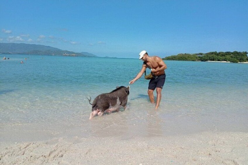 Private Longtail Boat Experience Pig Island Your Way 1