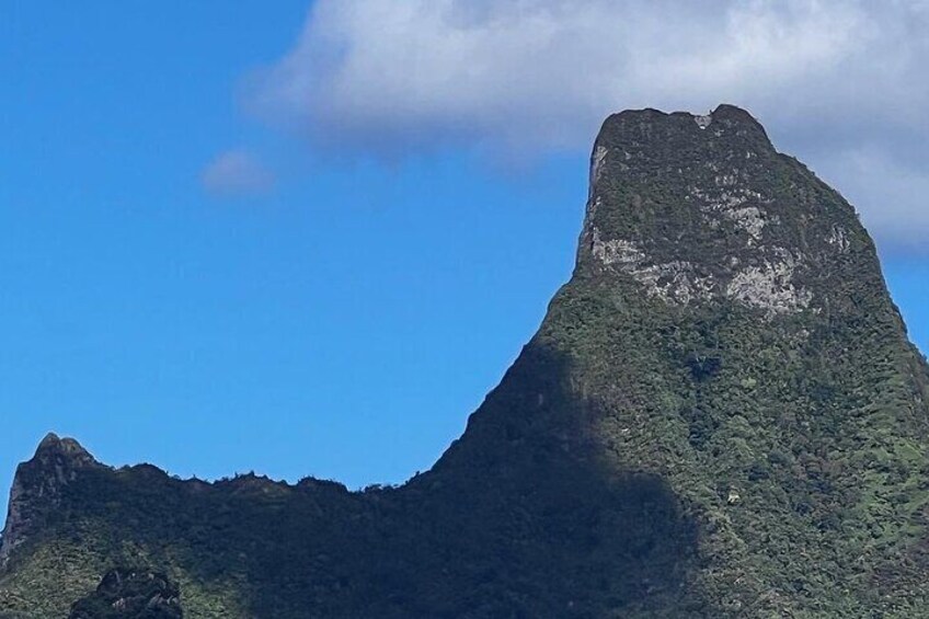 Moorea Cruise Ships: 4x4, Belvedere, Pineapple, & Magic Mountain 2