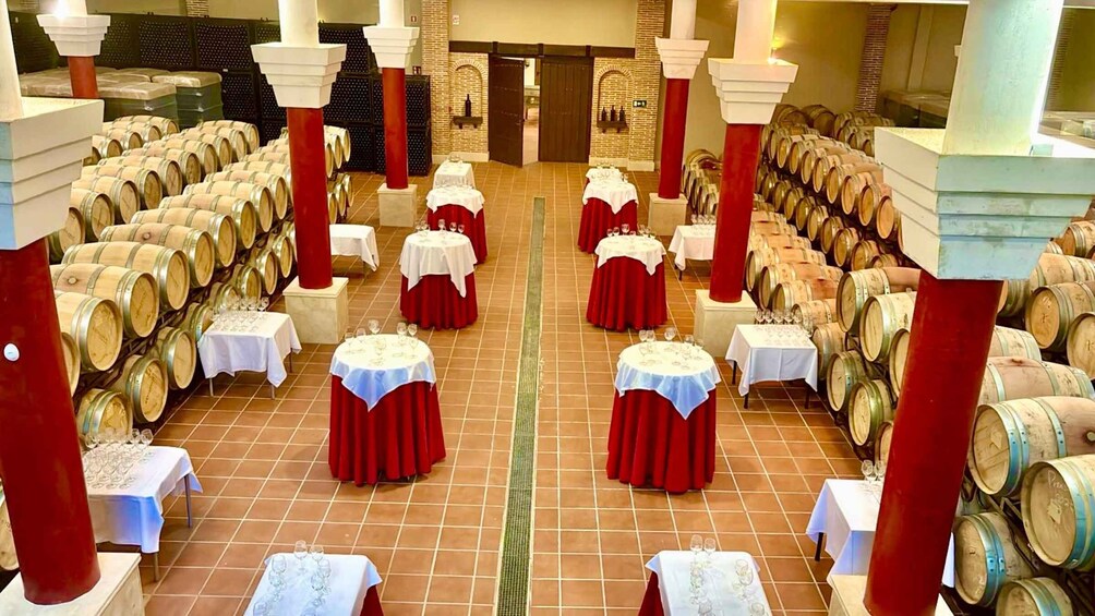 Picture 7 for Activity Ronda: Visit to Bodegas Excelencia with wine tasting 5