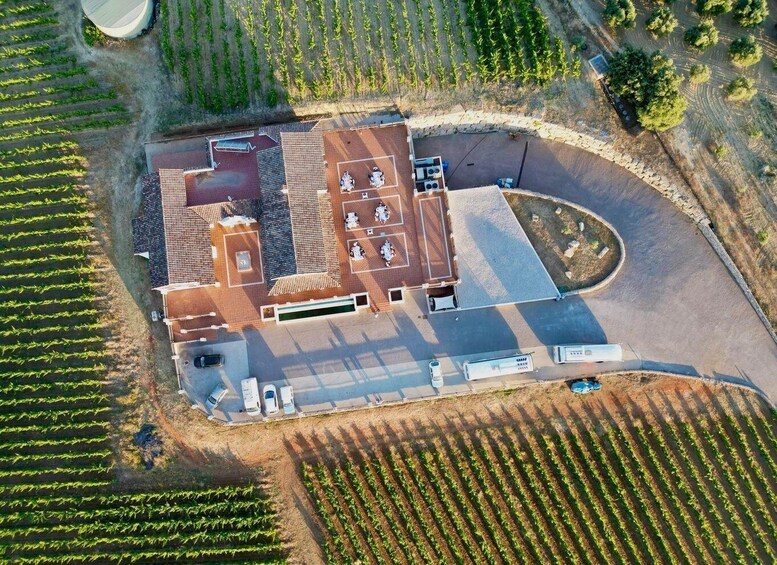 Picture 6 for Activity Ronda: Visit to Bodegas Excelencia with wine tasting 3