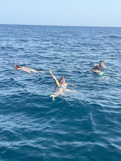 Picture 6 for Activity Snorkelling Trip in the Isla Grosa Reserve 5