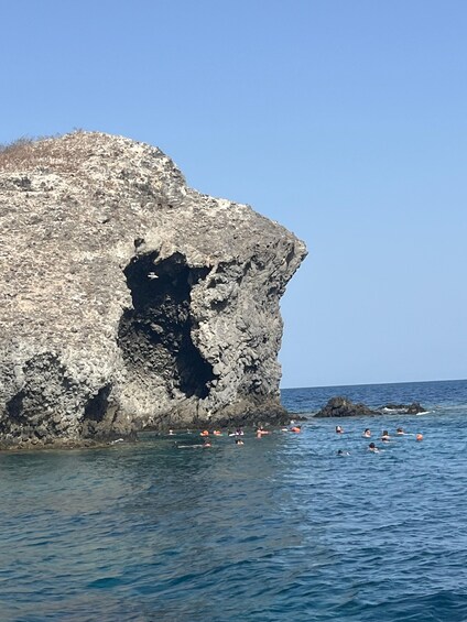 Picture 2 for Activity Snorkelling Trip in the Isla Grosa Reserve 4