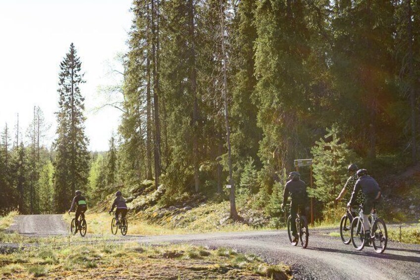 Midnight Sun Gravel Ride 3 hours to 4 hours 3