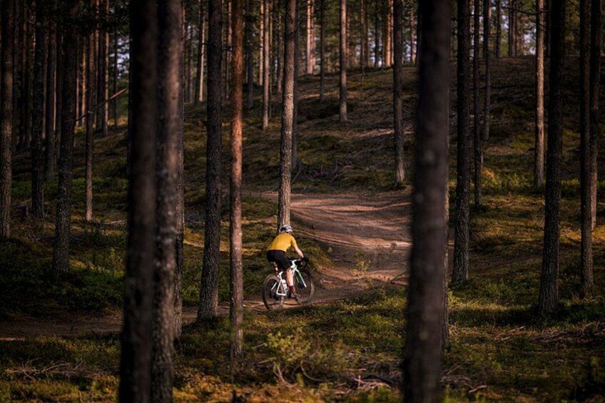 A forest with a dirt path and a cyclist wearing a yellow helmet. 1