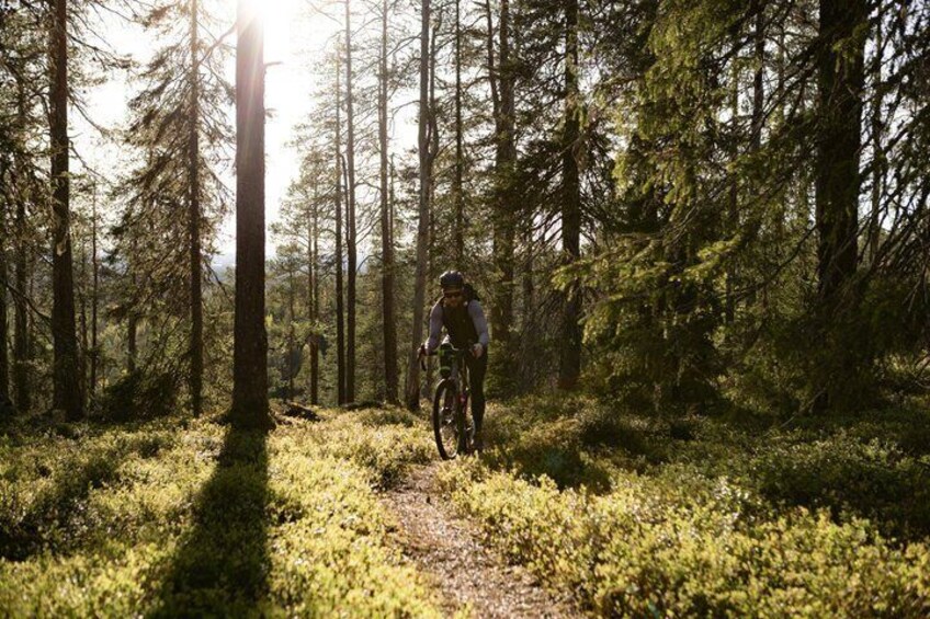 Midnight Sun Gravel Ride 3 hours to 4 hours 2