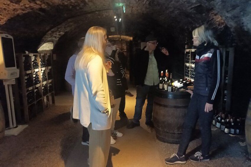 Private Beaune Wine Tour Explore Cellars and Taste Burgundy Wines 3