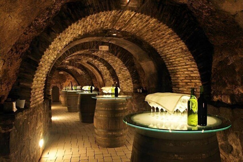 Private Beaune Wine Tour Explore Cellars and Taste Burgundy Wines 2