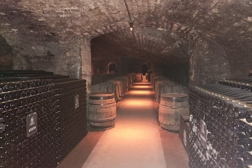 Private Beaune Wine Tour Explore Cellars and Taste Burgundy Wines 2