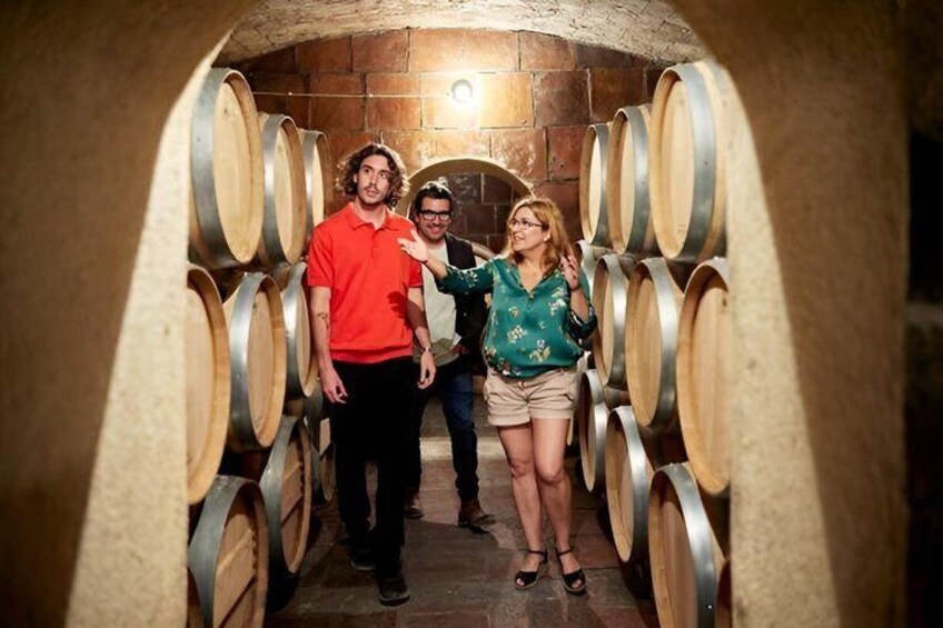 Private Beaune Wine Tour Explore Cellars and Taste Burgundy Wines 1