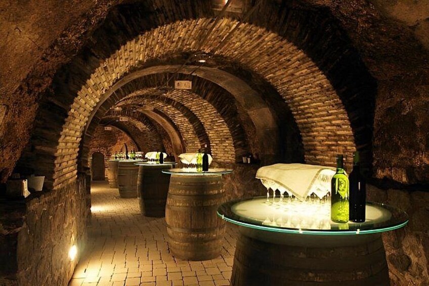Private Beaune Wine Tour Explore Cellars and Taste Burgundy Wines 2