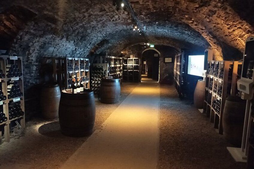 Private Beaune Wine Tour Explore Cellars and Taste Burgundy Wines 5